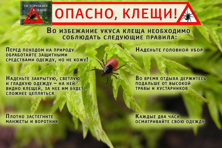 "ОСТОРОЖНО! КЛЕЩИ!" "ОСТОРОЖНО! КЛЕЩИ!".